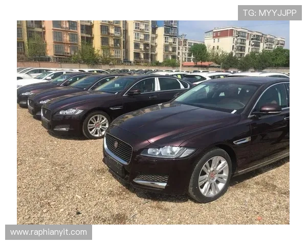 捷豹在线娱乐：丰富的奖金制度与奖励机制，助你轻松赢取丰厚奖励