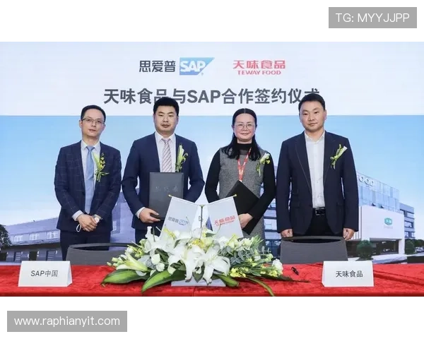 dg视讯官网平台app下载的安全保障措施，保障用户信息与资金安全的最佳实践